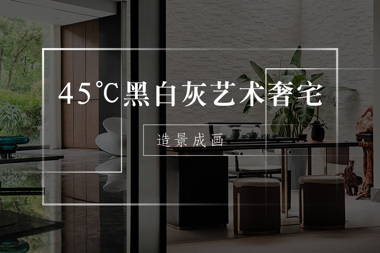第16期：45°黑白灰艺术奢宅—宁波星杰童凌霄作品